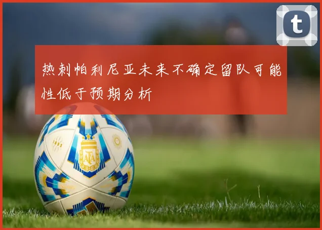 热刺帕利尼亚未来不确定留队可能性低于预期分析